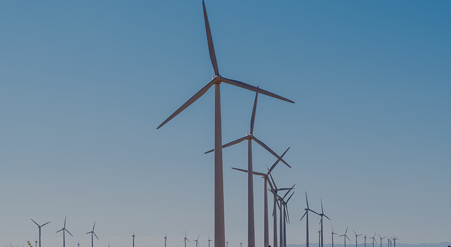 Jiangsu Hailing Carbon Products Co., Ltd.