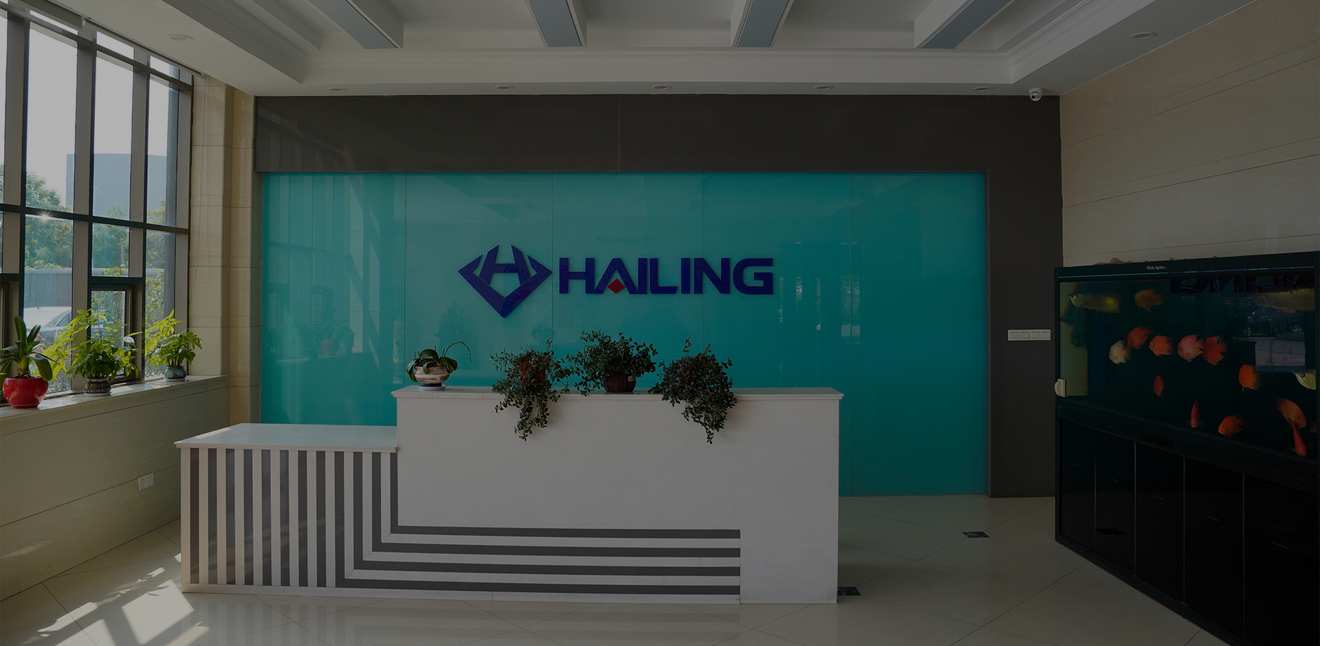 Jiangsu Hailing Carbon Products Co., Ltd.