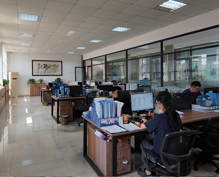 Jiangsu Hailing Carbon Products Co., Ltd.