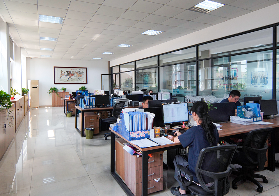 Jiangsu Hailing Carbon Products Co., Ltd.